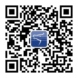 鄭州博樂信息：讓您的供應鏈從“鏈”到“網”，智勝未來！